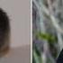 From Ayam Cemani Chick To Adult Rooster Timelapse Chicken Transformation