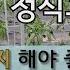 고추 정식 후 40일 이것 3가지 해야 좋은 고추 다수확 할 수 있습니다 고추 잘 가꾸는 방법 고추 수분 관리 고추 2차추비 병충해 예방