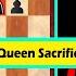 Leela Chess Zero Makes A Queen Sacrifice On Move 7