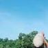 බබ වග උඩ එන ස ප ර ම නර සර ගල This Giant Peacock Kite Soared Into The Sky Like Magic