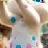 Dink Chika Dink Chika Cute Cat Cute Cat Shorts Shortsfeed Shortvideo BuddyCatAi05