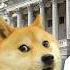 WTF Is DOGE