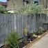 I Planted Trees Margatelife Home Kent Gardenrenovation Gardenscapes Margate
