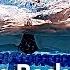 5 Skills To Learn The Basics Of Backstroke