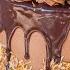 The BEST German Chocolate Cake Recipe With Coconut Filling Chocolate Ganache
