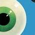 The Evolution Of The Human Eye Joshua Harvey
