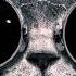 Mercer Turn It Up Tchami Remix