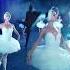 Evil Genius From Swan Lake Shorts Balletdancer Dancer
