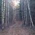 FREE FOR PROFIT SEMATARY X GHOST MOUNTAIN Type Beat Hollows