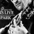 Michale Graves Scream