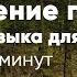 ПЕНИЕ ПТИЦ И МУЗЫКА ДЛЯ МЕДИТАЦИИ 10 минут