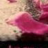 Vaadi A Lil Bit Closer Kadhalviruz Music By Kowtham New Song Summer Dance