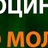Смысловые Галлюцинации Вечно молодой Текст Lyrics