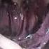 Ghost Tik Tok Horror Video Shortvideo Bhuter Tiktok Likes Pei Video Viral