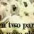 Yasir Ad Dosary Recites Surat Ali Imraan Taraweeh AMAZING