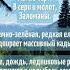 Гений автопортрета Покровитель Земли стих природа горы гений земля стихи стихотворение