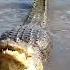 Epic Nature Takes No Prisoners
