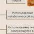 Приспособление животных к недостатку влаги