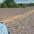We Have A Disaster On Our Hands On The 110 Acre Farm