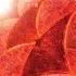 Bogdan Vix Renee Stahl Forever Suncatcher Bogdan Vix Remix