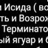 112 й понтифик Терминатор Белый ягуар и бог РА Серый волк зубами щёлк Ну погоди Апокалипсис 1 я ч