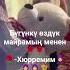 Туулган күн