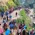 Lord Of Shiva Kedarnath Dham Kedarnathyatra2022 Shivling Rambada Mahadev Djsid