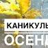 02 11 23 Каникулы скалолазание осень И паршивый звук