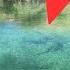 This Crystal Clear Lake Holds TONS Of Fish Species Hunt