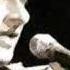 Black Wonderful Life Live In 2005