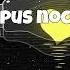 Lupus Nocte Milky Way Express Like 1980s Music Where To Next