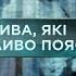 Затерянный мир 2 сезон 65 выпуск Чудеса которые невозможно объяснить