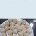 From Dough To Chapathi Fully Automatic High Volume And Hygienic Essemmcorporation Cosmos