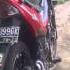 Video Ngentot