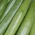 Okra Freshvegitable Gulay Shortsviral Ll Mom Jin Vlog