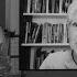 The Racket Presidential Candidate Jill Stein On Fighting The US War Machine