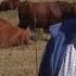 White South African Farmer Elated Donald Trump Grilled His President
