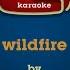 Michael Martin Murphey Wildfire Karaoke