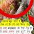 Zsonia Direct Evidence Of Radha Krishna Shorts Radharanidarshan Krishandarshan Gehvarvan Ba