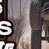 Concrete Motorsports Highs And Lows Episode 15 San Felipe 250 2025