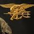 Navy SEALs Just Failed Their Own