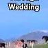 Horses Gallop Past Wedding Reception