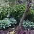Early June Garden Tour Mid Michigan Zone 4 5 Come Walk Around The Garden With Me