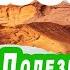 THOROUGHLY учим полезные английские слова уроки английского ежедневно онлайн