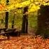 1 Hour Chill Dope Liquid Drum And Bass Mix 2013