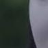 Vietsub 骗 Lừa Dối Trương Bích Thần Ost如果声音不记得 Nếu Không Nhớ được Thanh âm Của Người