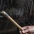Inside The Dark World Of Captive Wildlife Tourism National Geographic