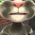Talking Tom Takes Action