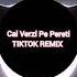 Cai Verzi Pe Pereti Remix Tiktok