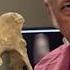 The Lucy Laetoli Footprints Lie Joseph Hubbard Creationresearchuk Com PBS Nova Clip Evidence